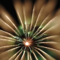 saisin2018.8.25-17.jpg