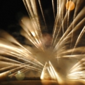 saisin2018.8.25-36.jpg