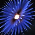 saisin2018.8.25-43.jpg