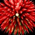 saisin2018.8.25-44.jpg