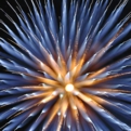 saisin2018.8.25-58.jpg