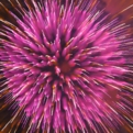 saisin2018.8.25-68.jpg