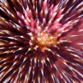 saisin2018.8.25-80.jpg