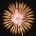 saisin2018.8.25-89.jpg