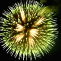 saisin2018.8.25-90.jpg