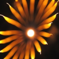 saisin2018.8.25-63.jpg