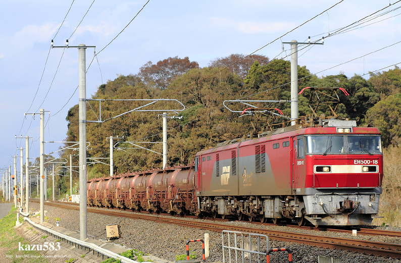 saisin2018.11.5-3.jpg