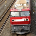 saisin-4-2539.jpg