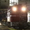 saisin-4-2478.jpg