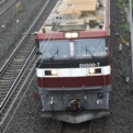 saisin-5-05.jpg