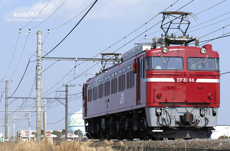 saisin2019.3.5-1.jpg