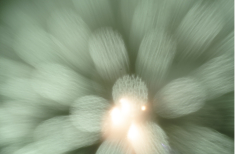_M2D8314.JPG