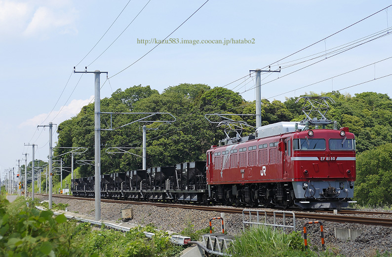 saisin2019.6.6-12.jpg