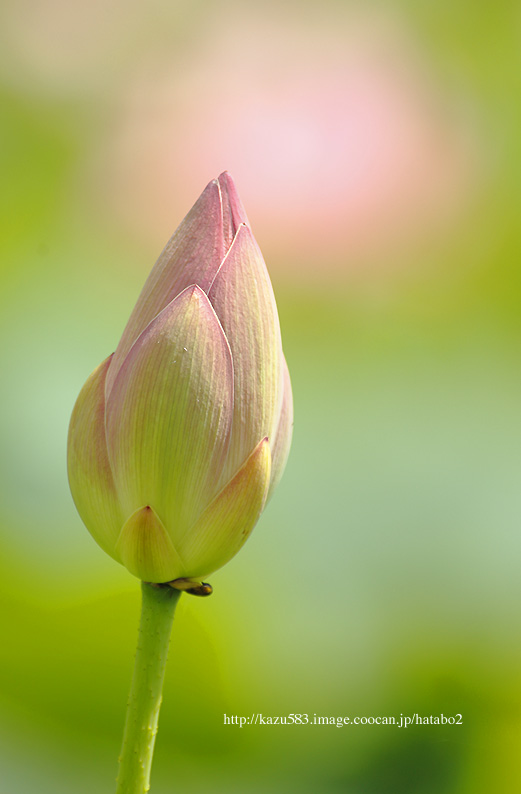 saisin2019.6.26-14.jpg