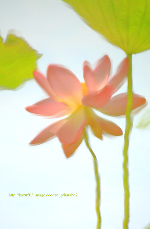 saisin2019.7.3-11.jpg