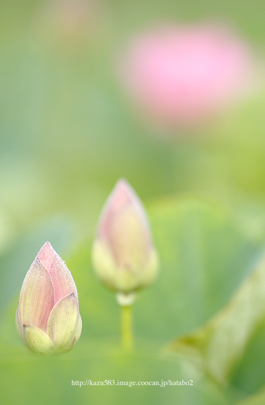 saisin2019.7.5-2.jpg