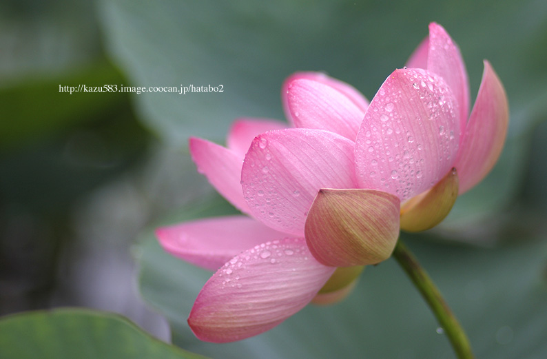 saisin2019.7.12-7.jpg