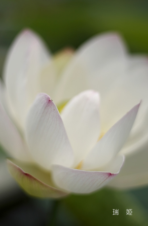 saisin2019.7.13-13.jpg