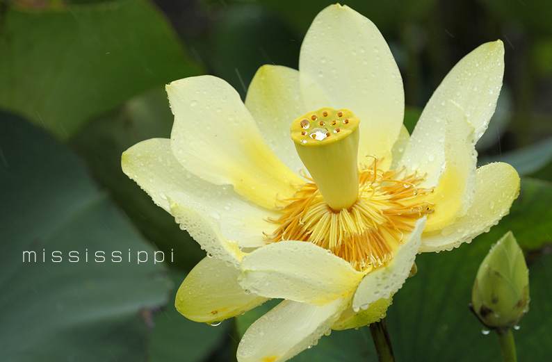 saisin2019.7.14-1.jpg