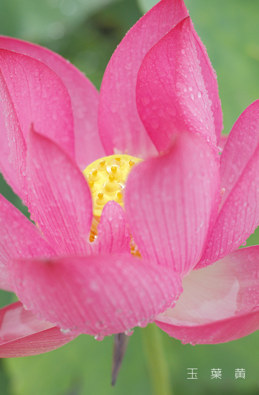 saisin2019.7.14-2.jpg