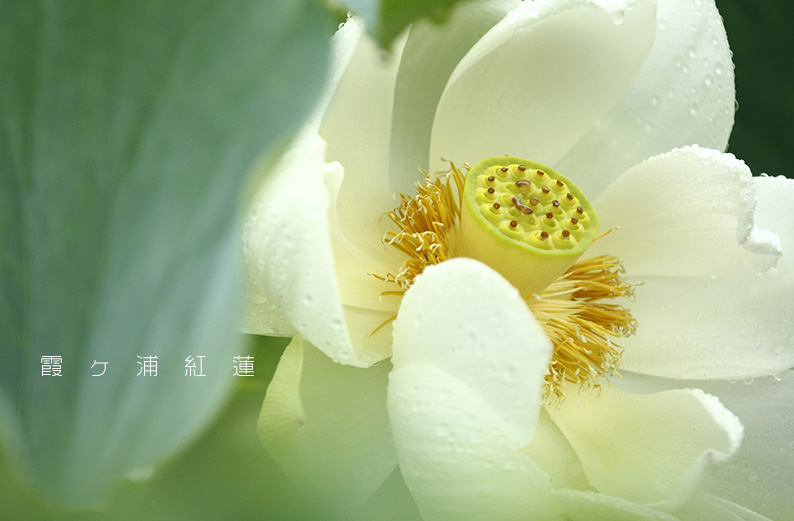 saisin2019.7.14-5.jpg