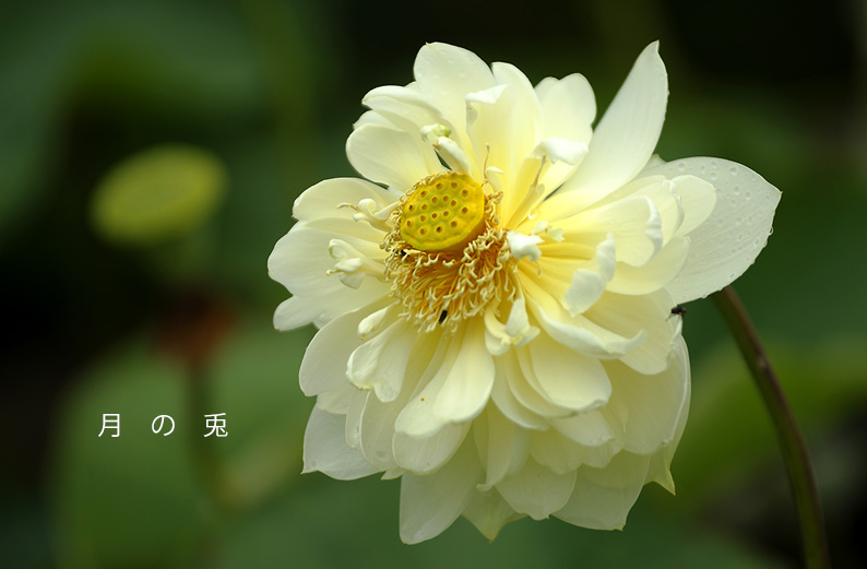 saisin2019.7.16-5.jpg