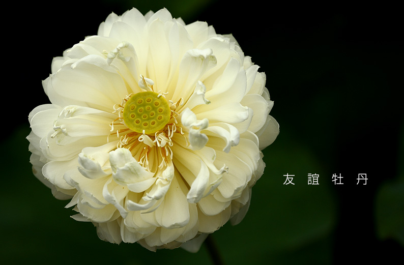 saisin2019.7.18-10.jpg