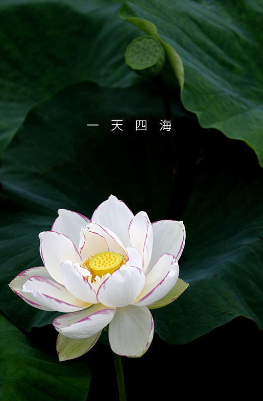 saisin2019.7.18-13.jpg