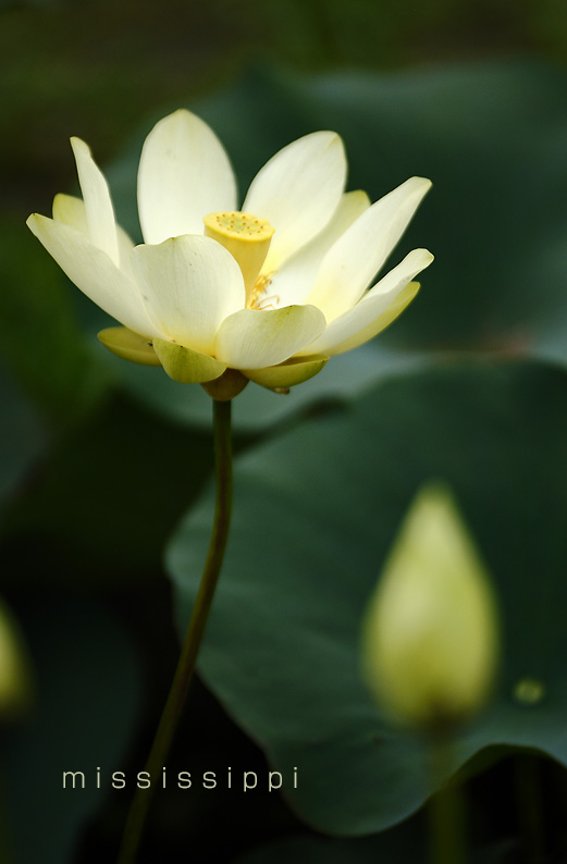 saisin2019.7.18-18.jpg