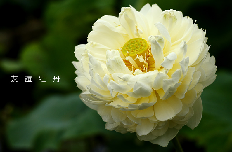 saisin2019.7.18-19.jpg