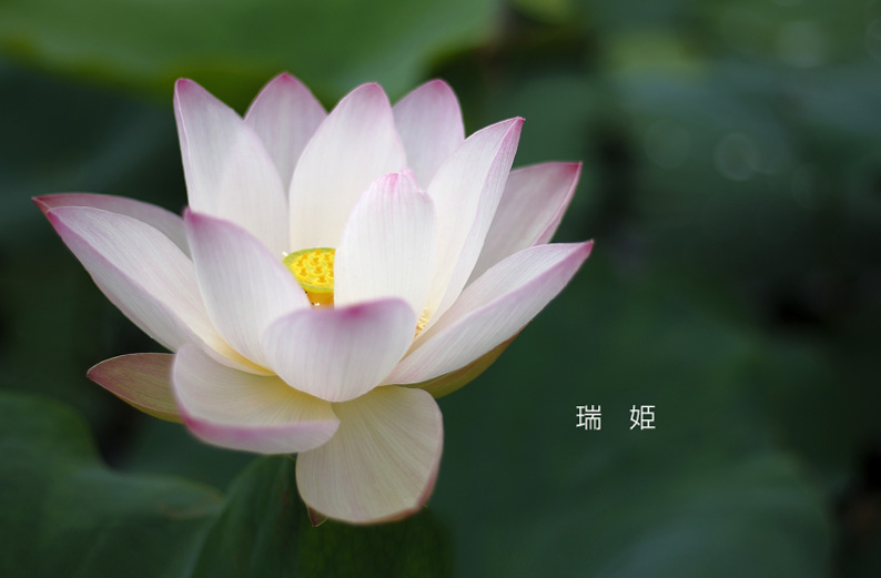 saisin2019.7.18-21.jpg