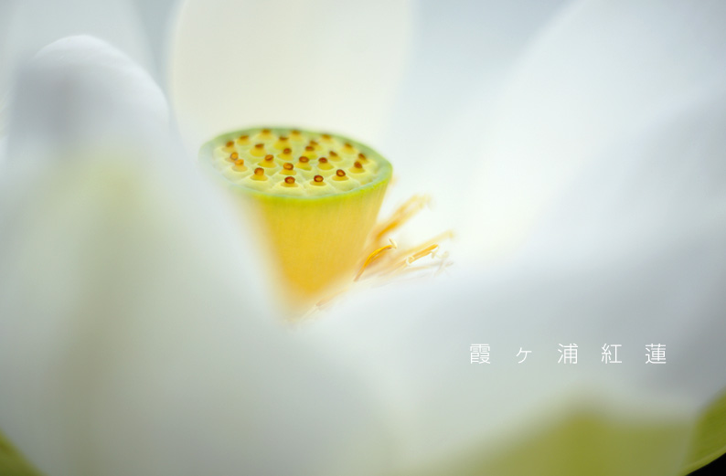 saisin2019.7.18-26.jpg