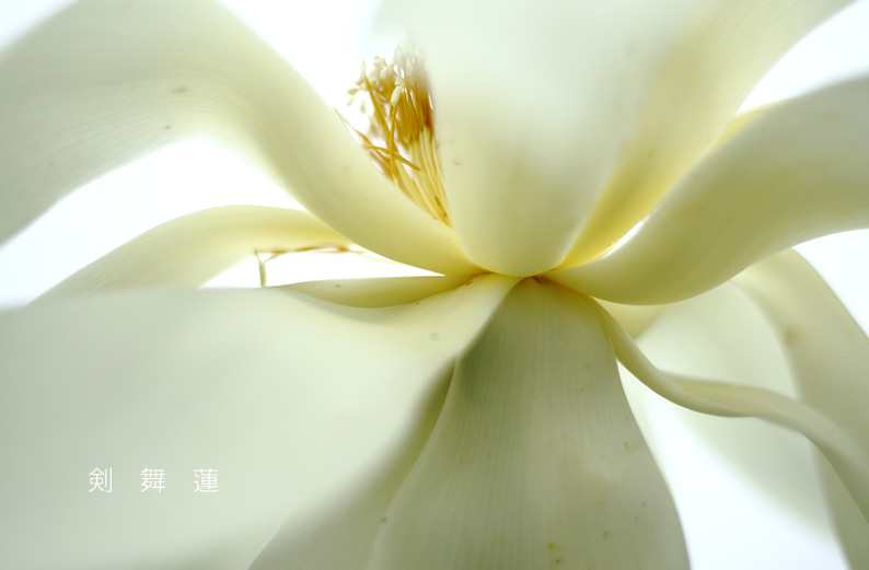 saisin2019.7.21-30.jpg