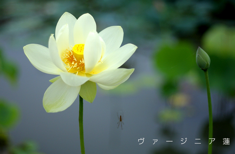saisin2019.7.21-22.jpg