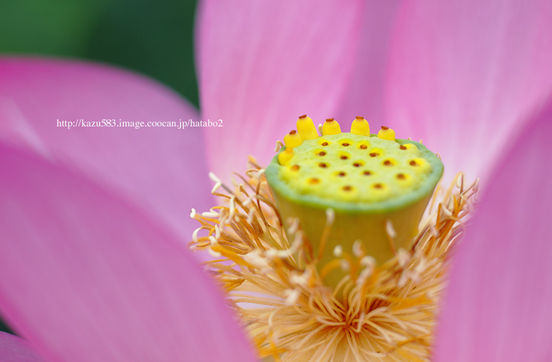 saisin2019.7.21-33.jpg