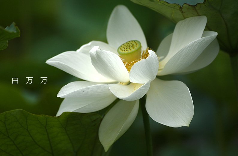 saisin2019.7.21-9.jpg