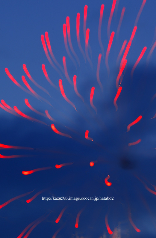 saisin2019.7.27--29.jpg