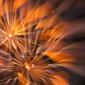 saisin2019.7.27--15.jpg