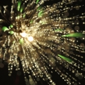 saisin2019.7.27--21.jpg