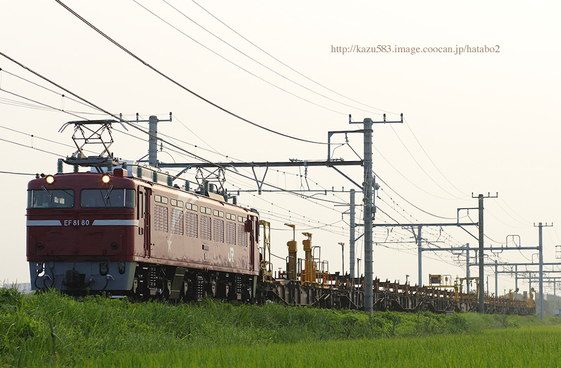 saisin2019.7.29-1.jpg