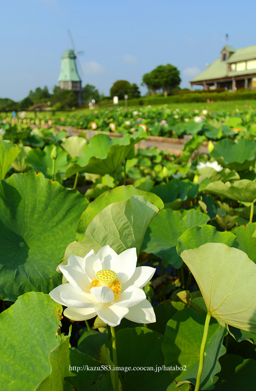 saisin2019.7.31-19.jpg