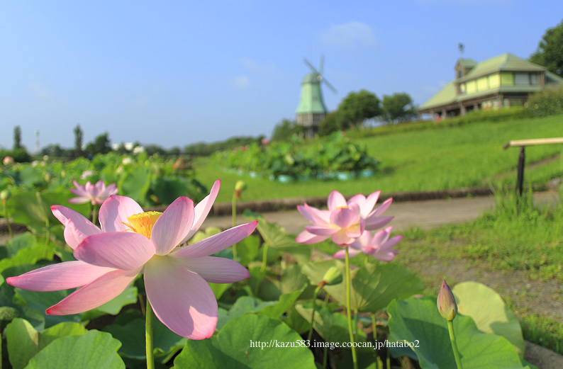 saisin2019.7.31-21.jpg
