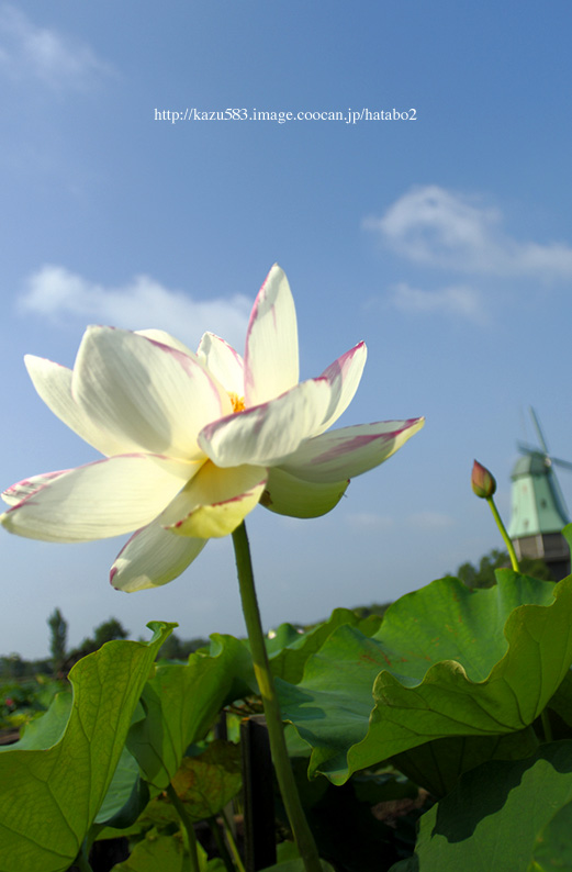 saisin2019.7.31-22.jpg