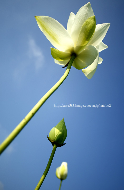 saisin2019.7.31-23.jpg