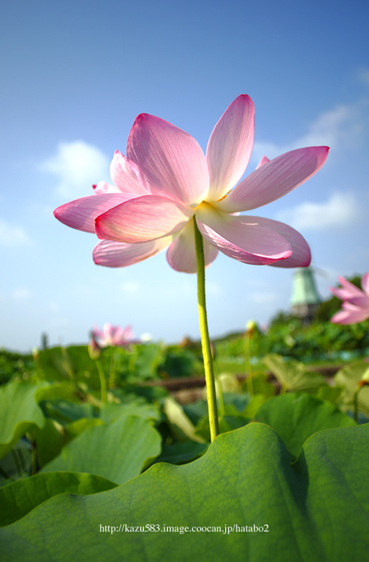 saisin2019.7.31-24.jpg