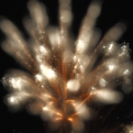 saisin2019 .8.3-10.jpg
