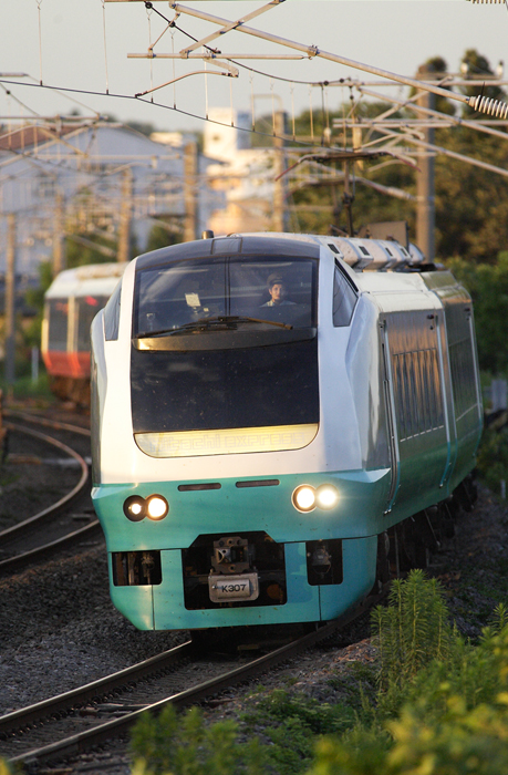 saisin-2-2964.jpg