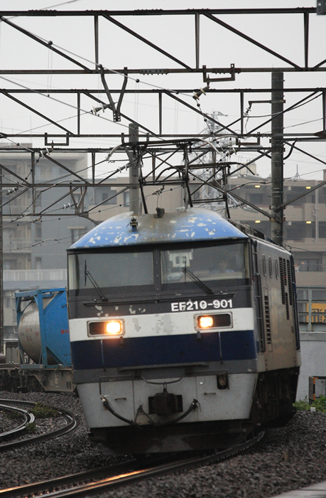 saisin-2-2990.jpg