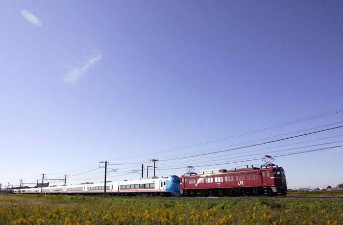 saisin-3-249.jpg
