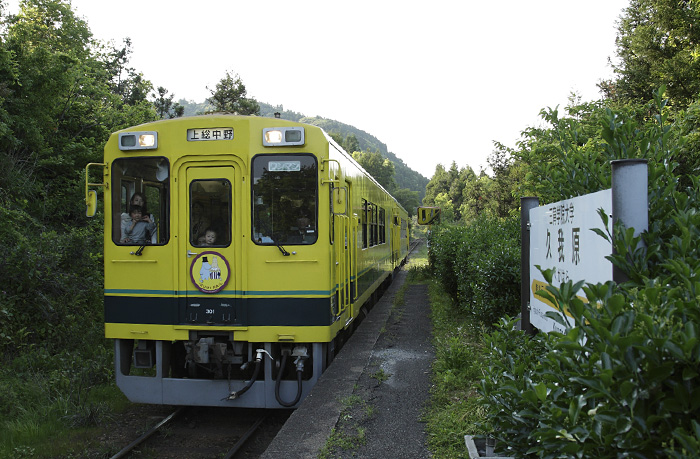 saisin-4-81.jpg